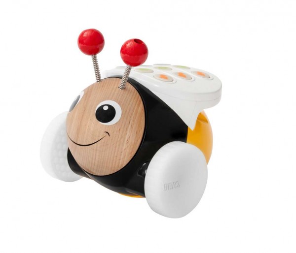 Cody die programmierbare Hummel vei ARIADNE